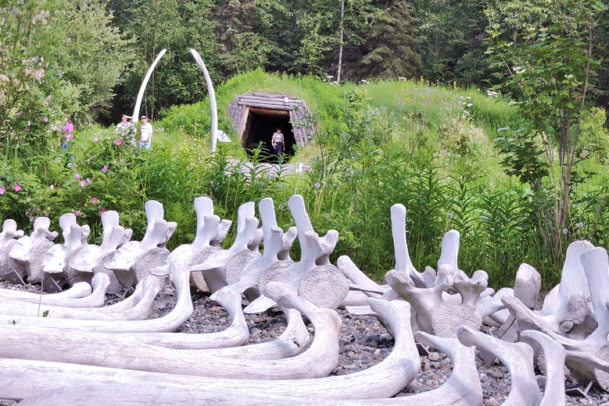 Whale bones at the Alaska Native Heritage Center